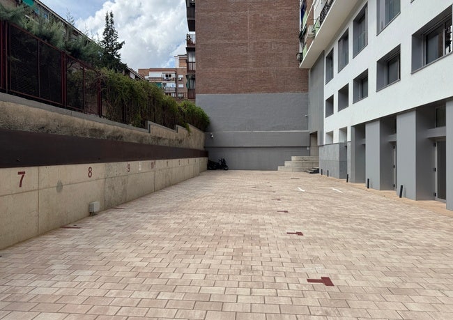 Imagen 6